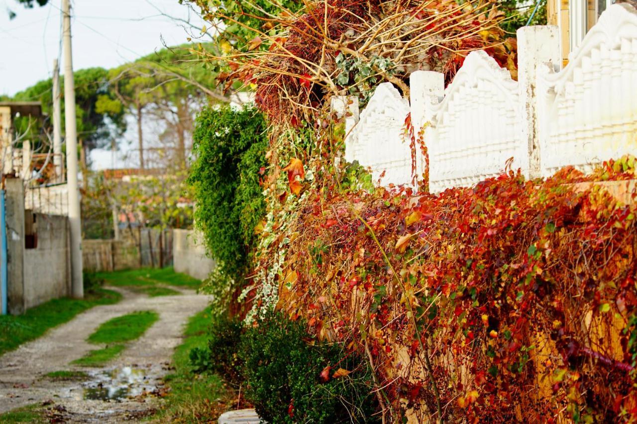 Villa Gaudium, Vlorë, Albania 