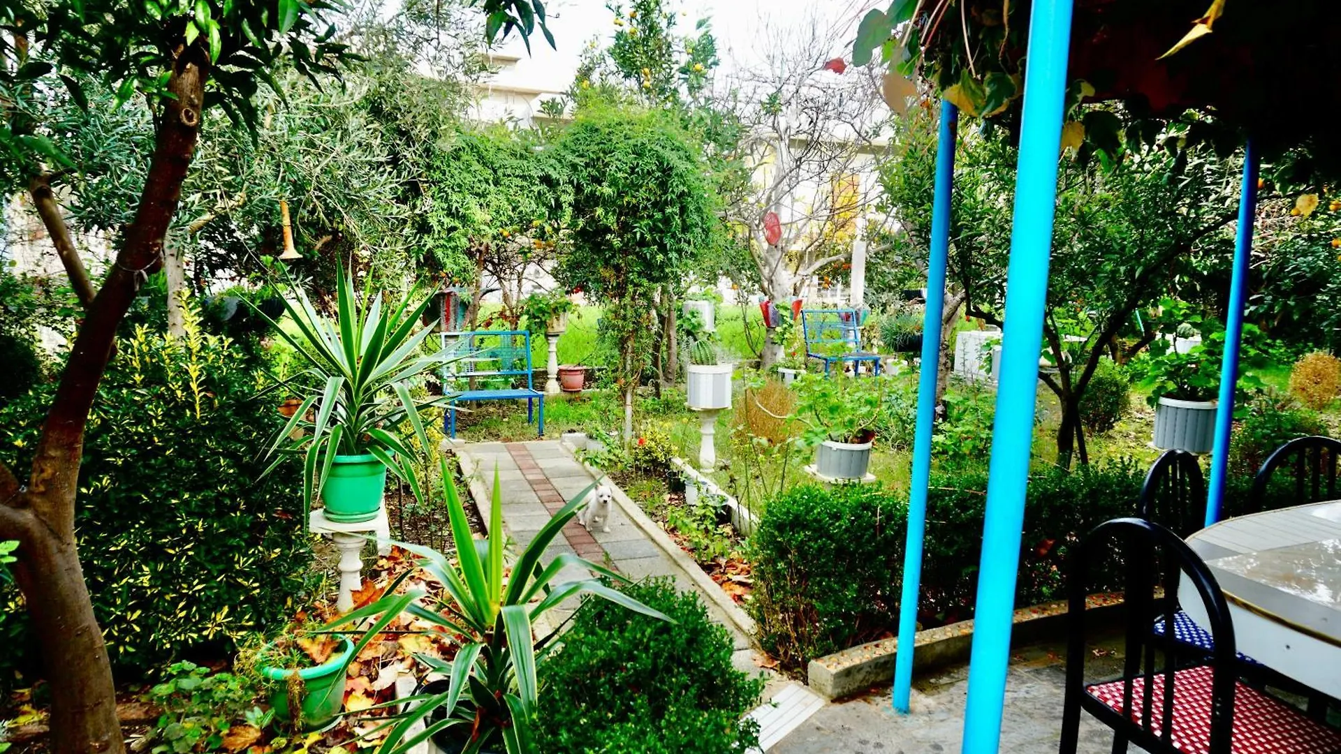 Villa Duka Vlorë Αλβανία